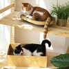 image:imageFUKUMARU 5 PCS Cat Scratching Boards 114 Inch Width ExLarge Cat Scratcher Box Reversible Cardboard Scratchers for Indoor Cats Cat Scratch Box for Large Medium and Small Cats Protect Furniture4PCS Scratching Beds