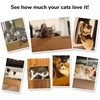 image:imageFUKUMARU 5 PCS Cat Scratching Boards 114 Inch Width ExLarge Cat Scratcher Box Reversible Cardboard Scratchers for Indoor Cats Cat Scratch Box for Large Medium and Small Cats Protect Furniture5PCS Scratch Pads with Box