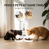 image:imageFUKUMARU Automatic Cat Feeder 4L Dog Feeders with Double Bowls Support DIY Meals and Timed Control WiFi Cat sFood Dispenser Suit for Most Pet Food