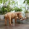 image:imageFUKUMARU Elevated Cat Bowls 15 Tilted Raised Stainless Steel Bowl Stand Small Dog Rubber Board Food Water Bowl Set Feeding Station for Cats and Puppy