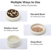image:imageFUKUMARU Elevated Cat Bowls Combined Three Bowl Set Ceramic Small Dog Bowls Tilted Raised Cat Bowls for Food and Water