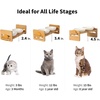 image:imageFUKUMARU Elevated Cat Ceramic Bowls Small Dog 15 Tilted Raised Food Feeding Dishes Solid Bamboo Water Stand Feeder Set for Cats and Puppy