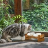 image:imageFUKUMARU Elevated Cat Ceramic Bowls Small Dog 15 Tilted Raised Food Feeding Dishes Solid Bamboo Water Stand Feeder Set for Cats and Puppy