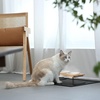 image:imageFUKUMARU Elevated Cat Ceramic Bowls Small Dog Raised Food Feeding Dishes Solid Wood Water Stand Feeder Set for Cats and PuppyBeige