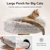 image:imageFUKUMARU Cat Scratching Post 30 Inch Tall Cat Scratcher with Perch for Indoor Cats Small Cat Tower with Bed and 55 Inch Width Post Cat Tree Furniture for Kittens and Large Cats