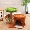 image:imageFUKUMARU Small Cat Tree Plant Style Kitten Tower with Unique Solid Wood Cat Scratching Post Cute Cat Condo Scratcher with Soft Bed for Indoor Kitten amp Cats