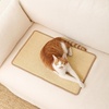 image:imageFUKUMARU 2 Packs Cat Scratching Mat 236 x 157 Inch Natural Sisal Cat Scratch Pad Mats for Indoor Cats Horizontal Cats Wall Scratcher Kitten Floor Rug with Sticky Tape Furniture ProtectorBeige2 Packs 236 x 157 Inch