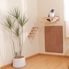 image:imageFUKUMARU 2 Packs Cat Scratching Mat 236 x 157 Inch Natural Sisal Cat Scratch Pad Mats for Indoor Cats Horizontal Cats Wall Scratcher Kitten Floor Rug with Sticky Tape Furniture ProtectorBrown236 x 315 Inch