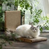 image:imageFUKUMARU 2 Packs Replacement Cat Scratcher Reversible Replacement Refills Cat Scratch Boards for L Shaped Scratching Pad 268 Inch ST01