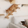 image:imageFUKUMARU Cat Climbing Shelf Wall Mounted Four Step Cat Stair with Jute Scratching for Kitten Walls Shelves Furniture  LargeLarge  Bidirectional