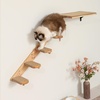 image:imageFUKUMARU Cat Climbing Shelf Wall Mounted Four Step Cat Stair with Jute Scratching for Kitten Walls Shelves Furniture  LargeLarge  Bidirectional