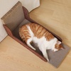 image:imageFUKUMARU Cat Scratcher 268 Inch L Shaped Cat Scratch Pad Wall Modern Cardboard Cats Scratching Board for Indoor Cats Felt Vertical Scratching Post Furniture Protector GreyCaramel