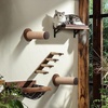 image:imageFUKUMARU Cat Wall Furniture 118 Inch Cats Steps for Drywall Kitten Stairs for Wall Mounted with Jute Scratching Kittens Shelf 2 of PackBrown