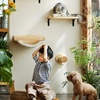 image:imageFUKUMARU Cat Wall Furniture 118 Inch Cats Steps for Drywall Kitten Stairs for Wall Mounted with Jute Scratching Kittens Shelf 2 of PackWheat
