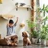 image:imageFUKUMARU Cat Wall Furniture 118 Inch Cats Steps for Drywall Kitten Stairs for Wall Mounted with Jute Scratching Kittens Shelf 2 of PackWheat