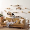 image:imageFUKUMARU Cat Wall Furniture Set Transparent Capsule Kitten Walls Shelves with 2 PCS Pedals  Premium Kitty Bed for Sleeping Playing Climbing and Lounging  Easily Holds Up to 35 Lbs