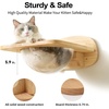 image:imageFUKUMARU Cat Wall Furniture Set Transparent Capsule Kitten Walls Shelves with 2 PCS Pedals  Premium Kitty Bed for Sleeping Playing Climbing and Lounging  Easily Holds Up to 35 Lbs