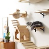 image:imageFUKUMARU Cat Wall Furniture Set Transparent Capsule Kitten Walls Shelves with 2 PCS Pedals  Premium Kitty Bed for Sleeping Playing Climbing and Lounging  Easily Holds Up to 35 Lbs