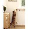 image:imageFUKUMARU Cat Wall Scratcher 28 Wall Mounted Kitten Scratching Post Sturdy Sisal Climbing Tree for Indoor Cats28 inch