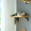 image:imageFUKUMARU Cat Wall Shelves 17 x 10 Inch Cat Walls Furniture with Sisal Mat Solid Rubber Wood Floating Shelf with Upgraded Installation Kitten Wall Tree for Sleeping Playing and ScratchingMSisal Mat