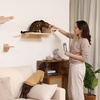 image:imageFUKUMARU Cat Wall Shelves 3 in 1 Cats Walls Furniture Set Food Station with 2 Steps Birch Plywood Perch Suitable for Kitten Play Nap Eat DIY Wall Jungle GymLight Wood Color