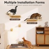 image:imageFUKUMARU Cat Wall Shelves 3 in 1 Cats Walls Furniture Set Food Station with 2 Steps Birch Plywood Perch Suitable for Kitten Play Nap Eat DIY Wall Jungle GymLight Wood Color