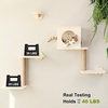 image:imageFUKUMARU Cat Wall Shelves 4 in 1 Stable Wooden WallMounted Furniture Set Climbing Tree with Hammock Bed Perch and Scratching Mat BlackBeige