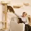 image:imageFUKUMARU Cat Wall Shelves 4 in 1 Stable Wooden WallMounted Furniture Set Climbing Tree with Hammock Bed Perch and Scratching Mat BlackBeige