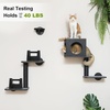 image:imageFUKUMARU Cat Wall Shelves 4 in 1 Stable Wooden WallMounted Furniture Set Climbing Tree with Hammock Bed Perch and Scratching Mat BlackBlack