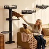 image:imageFUKUMARU Cat Wall Shelves 4 in 1 Stable Wooden WallMounted Furniture Set Climbing Tree with Hammock Bed Perch and Scratching Mat BlackBlack