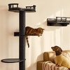 image:imageFUKUMARU Cat Wall Shelves 4 in 1 Stable Wooden WallMounted Furniture Set Climbing Tree with Hammock Bed Perch and Scratching Mat BlackBlack