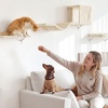 image:imageFUKUMARU Cat Wall Shelves Stable amp Safe 5 in 1 Cat Walls Furniture Set Wooden Kitten Climbing Wall with Scratching Post for 16 Inch Drywall  GreenBeige
