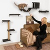 image:imageFUKUMARU Cat Wall Shelves Stable amp Safe 5 in 1 Cat Walls Furniture Set Wooden Kitten Climbing Wall with Scratching Post for 16 Inch Drywall  GreenGray