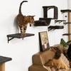 image:imageFUKUMARU Cat Wall Shelves Stable amp Safe 5 in 1 Cat Walls Furniture Set Wooden Kitten Climbing Wall with Scratching Post for 16 Inch Drywall  GreenGray