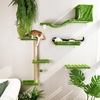 image:imageFUKUMARU Cat Wall Shelves Stable amp Safe 5 in 1 Cat Walls Furniture Set Wooden Kitten Climbing Wall with Scratching Post for 16 Inch Drywall  GreenGreen
