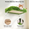 image:imageFUKUMARU Cat Wall Shelves Stable amp Safe 5 in 1 Cat Walls Furniture Set Wooden Kitten Climbing Wall with Scratching Post for 16 Inch Drywall  GreenGreen