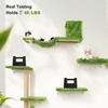 image:imageFUKUMARU Cat Wall Shelves Stable amp Safe 5 in 1 Cat Walls Furniture Set Wooden Kitten Climbing Wall with Scratching Post for 16 Inch Drywall  GreenGreen
