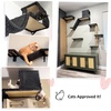 image:imageFUKUMARU Cat Wall Shelves Stable amp Safe 5 in 1 Cat Walls Furniture Set Wooden Kitten Climbing Wall with Scratching Post for 16 Inch Drywall  GreenGray