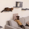 image:imageFUKUMARU Cat Wall Shelves Stable amp Safe 5 in 1 Cat Walls Furniture Set Wooden Kitten Climbing Wall with Scratching Post for 16 Inch Drywall  GreenLight Gray