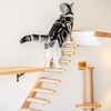 image:imageFUKUMARU Hammock Wall Mounted Cat Beds and Perches Wooden Kitten Walls Furniture Stable Cats Shelves for Sleeping Playing Climbing and Lounging Black StripeMWhite Flannel