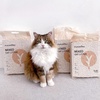 image:imageFUKUMARU Tofu Cat Litter 12 LBS Clumping Cat Litter Dust Free Natural Unscented Flushable Lightweight Low Tracking Mixed Apple Wood 247 Odor Control 6 lb x 2 BagsUnscented