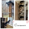image:imageFUKUMARU WallMounted Cat Tree for Small amp Medium Cats 5Tier Tall Cat Climbing Tower with Scratching Post Indoor Cat Wall Shelves for Climbing Scratching amp LookoutBlanchedAlmond