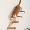 image:imageFUKUMARU Cat Climbing Shelf Wall Mounted Four Step Cat Stair with Jute Scratching for Kitten Walls Shelves Furniture  LargeLarge  Bidirectional