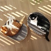 image:imageFUKUMARU Cardboard Cat Scratcher Bed 2in1 Oval Cat Scratch Pad Cats Scratching Board Lounge Bed Indoor Durable Modern Kitty Scratcher Bowl Cats Scratch Furniture Protector Wood ColorWood