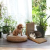 image:imageFUKUMARU Cat Scratcher 327 Inch L Shape Cat Scratch Pad Wall Mounted Cat Scratching Cardboard with Ball Toy for Indoor Cats Extra Large1 Pack 189 in Wood Color