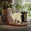 image:imageFUKUMARU Cat Scratcher 327 Inch L Shape Cat Scratch Pad Wall Mounted Cat Scratching Cardboard with Ball Toy for Indoor Cats Extra Large1 Pack 189 in Wood Color