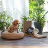 image:imageFUKUMARU Cat Scratcher 327 Inch L Shape Cat Scratch Pad Wall Mounted Cat Scratching Cardboard with Ball Toy for Indoor Cats Extra Large1 Pack 268 in Wood Color