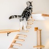 image:imageFUKUMARU Cat Wall Furniture 3 Pack Cats Walls Shelves Set Solid Rubber Wood Kitten Shelf for Sleeping Playing Climbing and Lounging