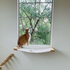 image:imageFUKUMARU Cat Wall Furniture 34 x 13 inch Cats Hammock Shelves Rubberwood Kitten Window Perch Easy DIY Installation