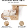 image:imageFUKUMARU Cat Wall Shelves 2 Platform Kitten Wall Furniture Tree Shape WallMounted Floating Shelf with Sisal Mat Solid Rubber Wood Cats Perch for 16 Inch Drywall Suitable for Climb Play NapSisal mat